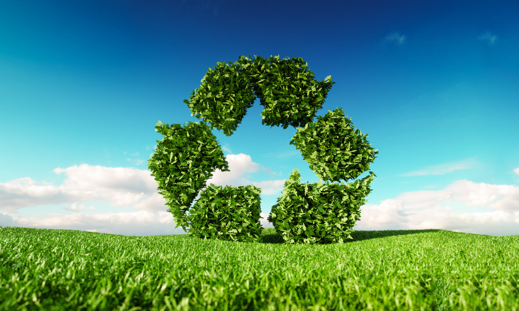 PremiumOneBackdrops-blog-Eco