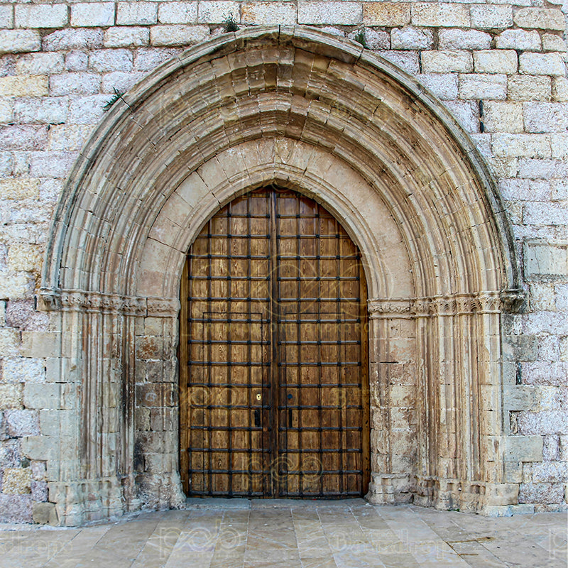 premium one pillowcover backdrops-Ancient Archway