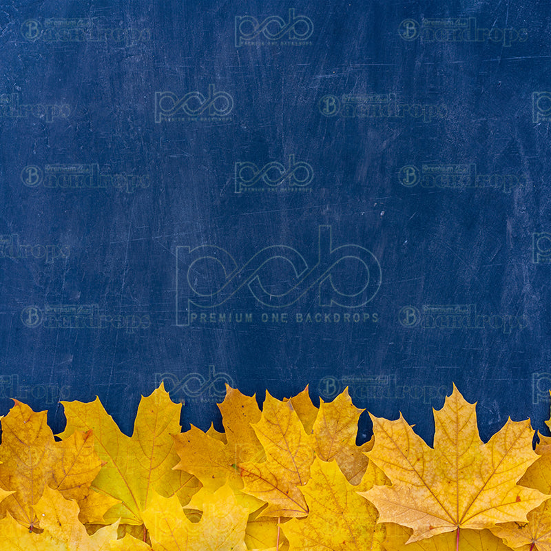 Pillow Cover Backdrop (Autumn Chalkboard)