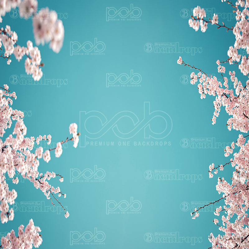 premium one pillowcover backdrops-Cherry Blossom Sky