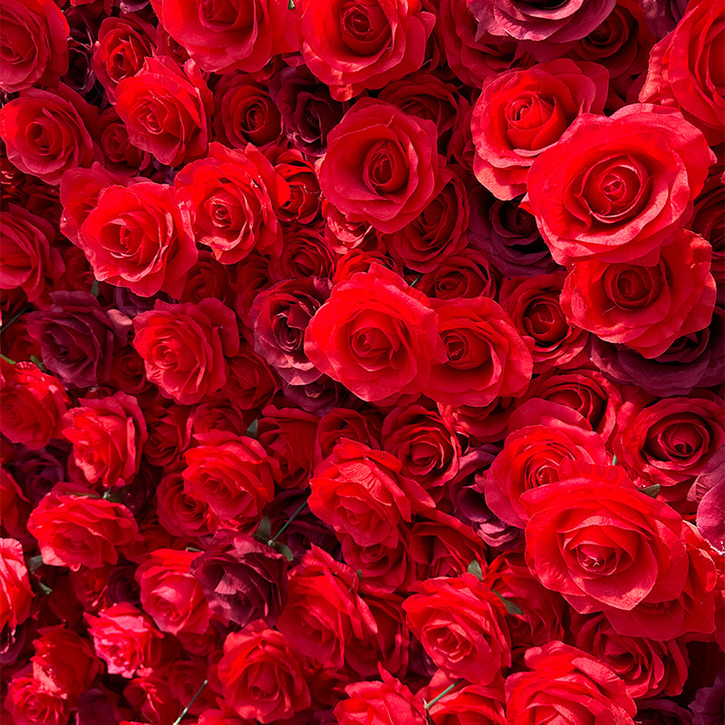 Deluxe Pure Red Rose Flower Wall