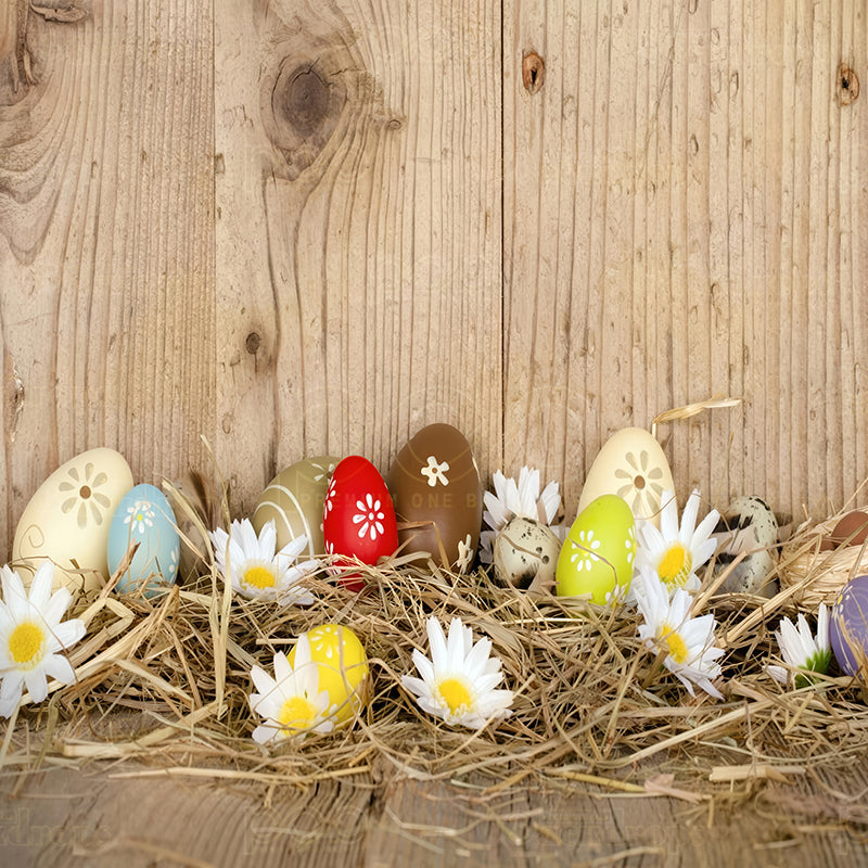 premium one pillowcover backdrops-Egg citing Easter Nest