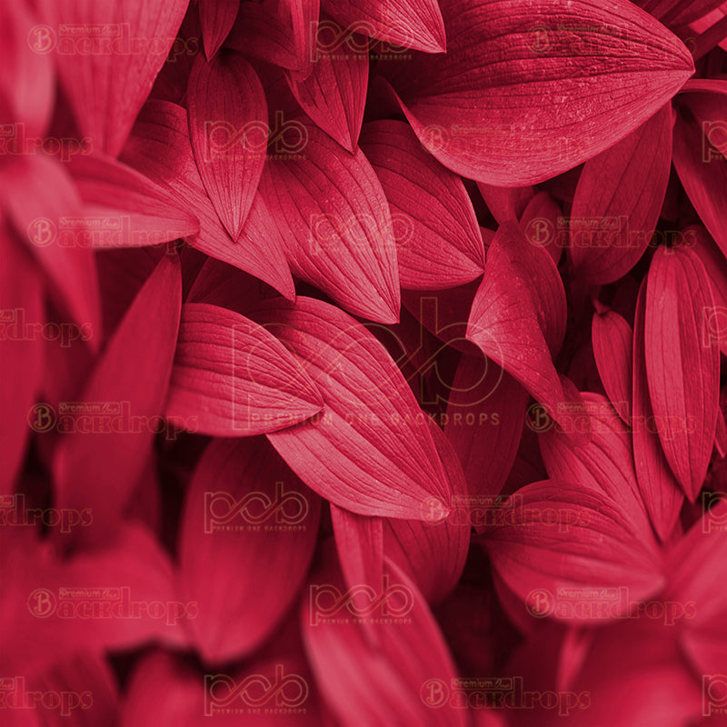 Pillow Cover Backdrop (Fiery Red Leaf)
