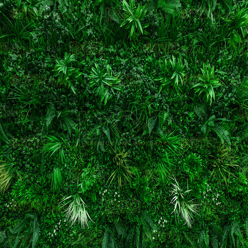 premium one pillowcover backdrops-Greenery Wall