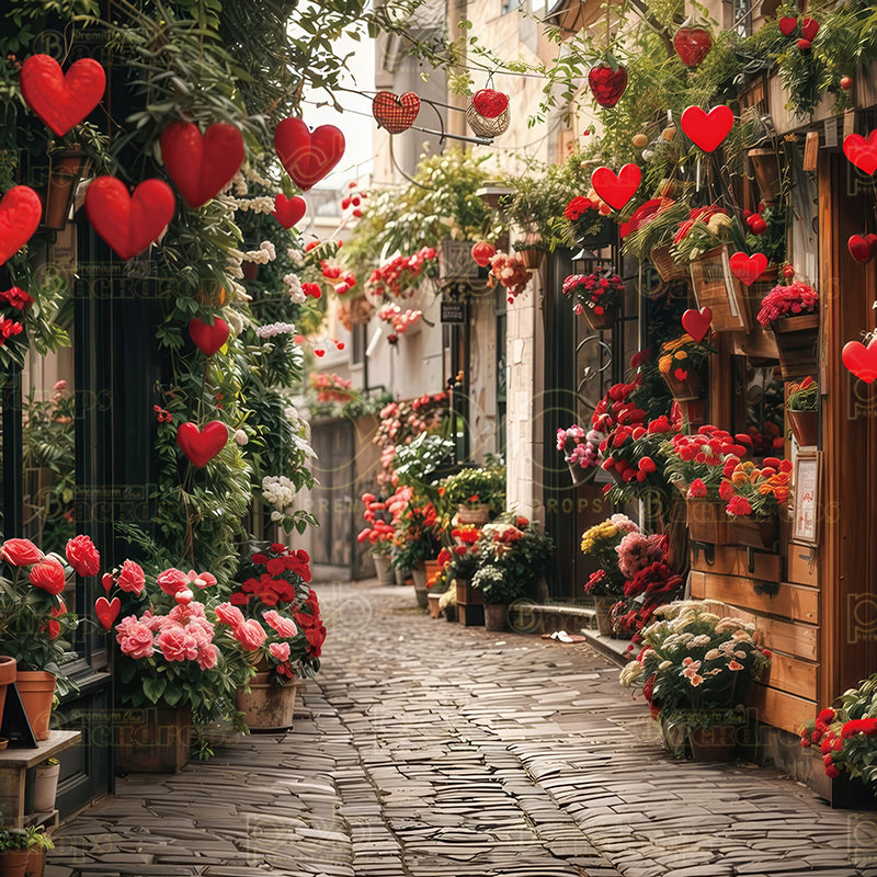 premium one pillowcover backdrops-Heartfelt Alley