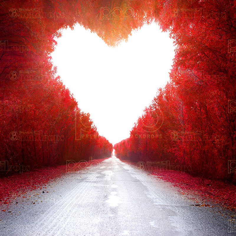 premium one pillowcover backdrops-LOVIN NATURE