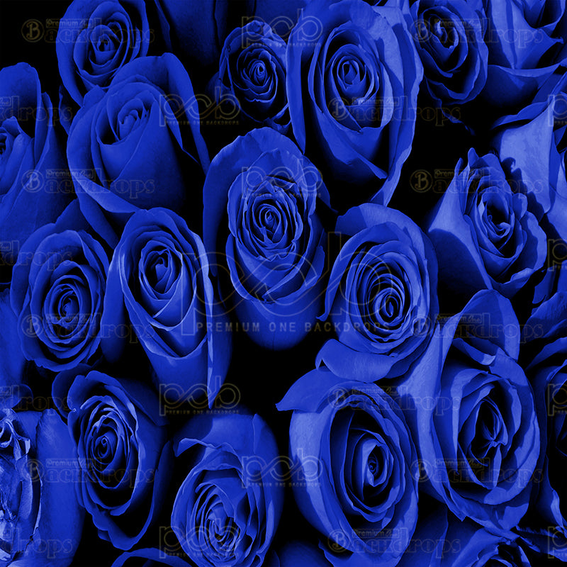 Pillow Cover Backdrop (Midnight Blue Rose)