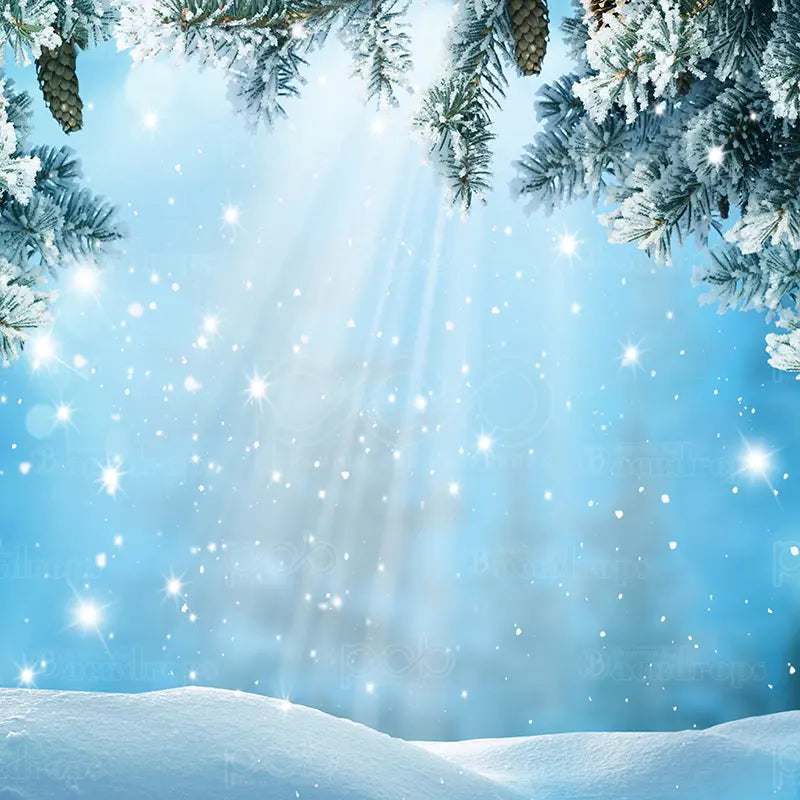 Pillow_Cover_Backdrops_Blue_winter_snow_scene-pob-backdrops