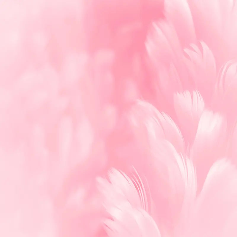 Pillow_Cover_Backdrops_Calming_Pink_Feathers-pob-backdrops