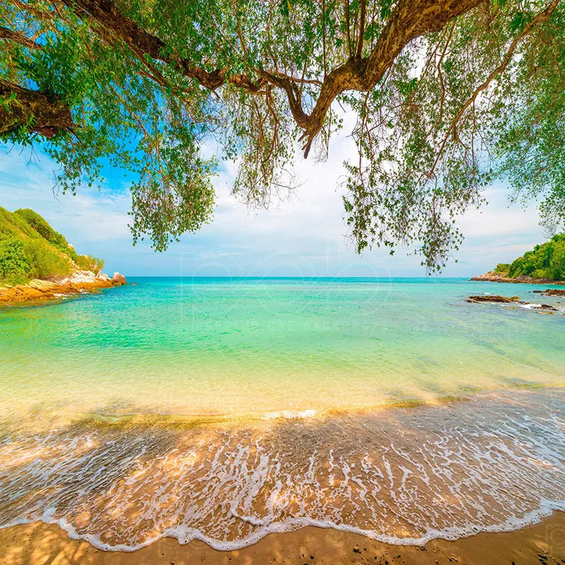Pillow_Cover_Backdrops_Coastal_Oasis-pob-backdrops