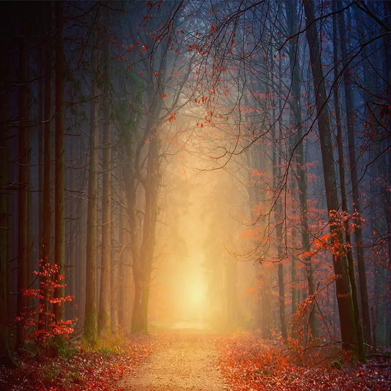 Pillow_Cover_Backdrops_Fall_Nights-pob-backdrops