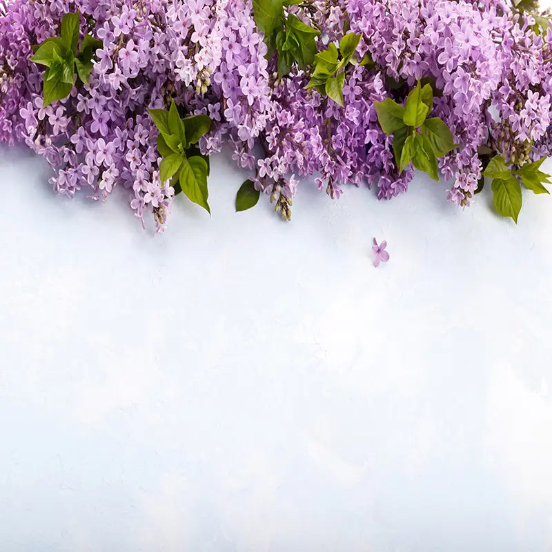 Pillow_Cover_Backdrops_Lilacs_In_Spring-pob-backdrops