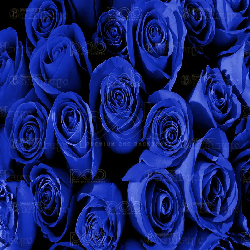 Pillow_Cover_Backdrops_Midnight_Blue_Rose-pob-backdrops