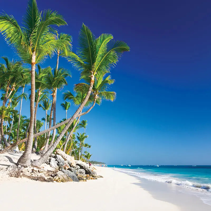 Pillow_Cover_Backdrops_Palm_Beach-pob-backdrops