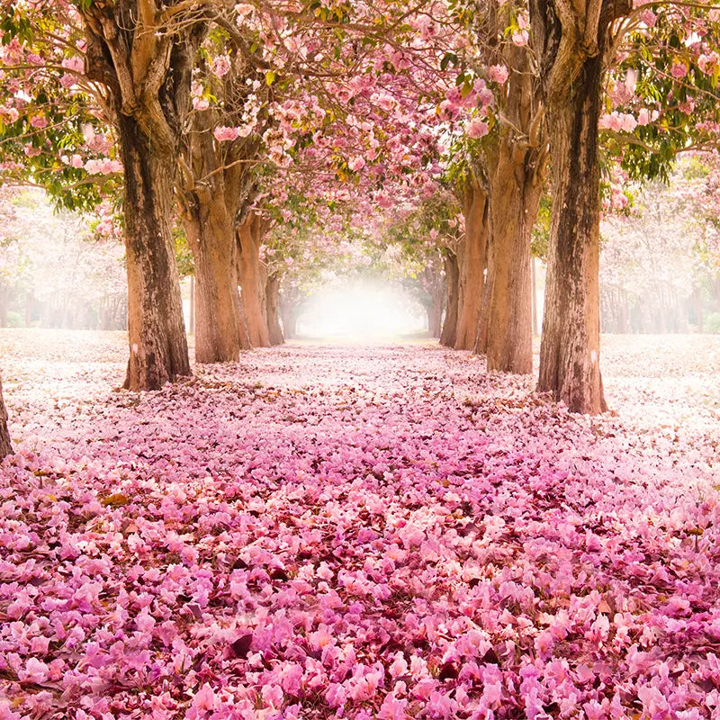 Pillow_Cover_Backdrops_Pink_Garden_Front-pob-backdrops