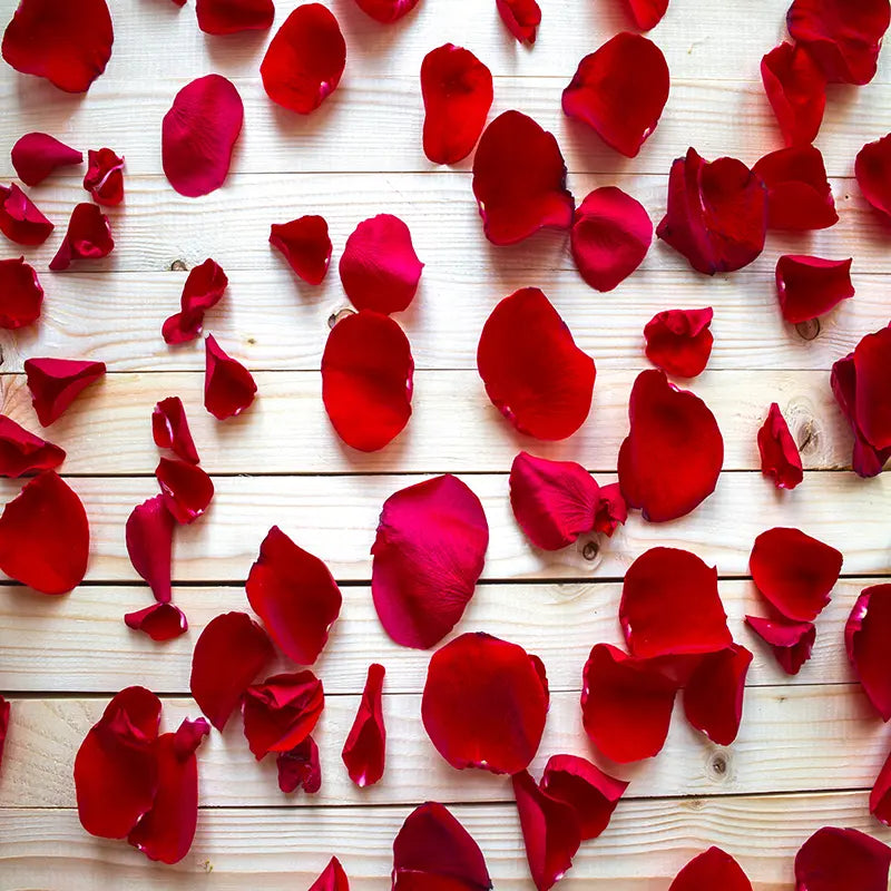 Pillow_Cover_Backdrops_Rose_Petals_Wood-pob-backdrops