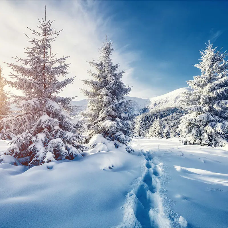 Pillow_Cover_Backdrops_Snow_trail-pob-backdrops