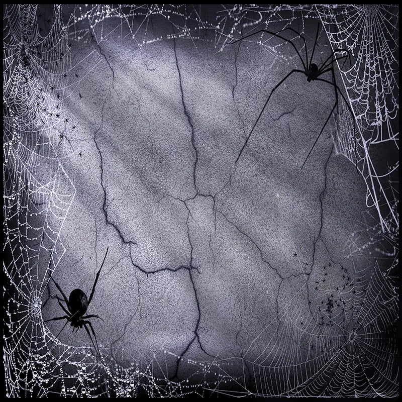 Pillow_Cover_Backdrops_Spiderweb_Marble-pob-backdrops