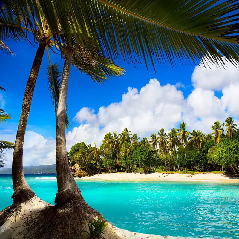 Pillow_Cover_Backdrops_Tropical_beach_shot-pob-backdrops