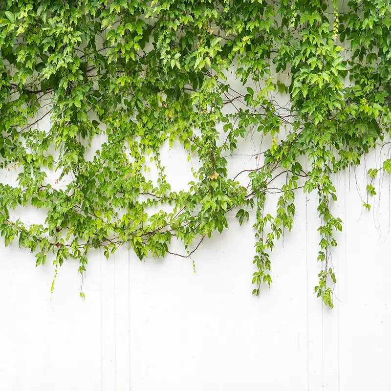 Pillow_Cover_Backdrops_Verdant_Veil_Cascade-pob-backdrops