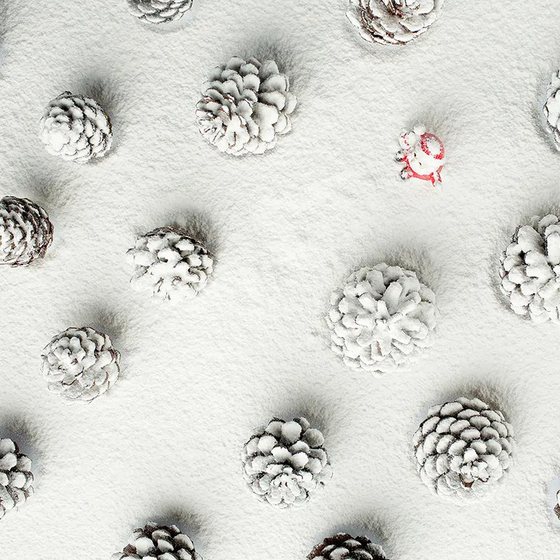 Pillow_Cover_Backdrops_sneaky_santa-pob-backdrops