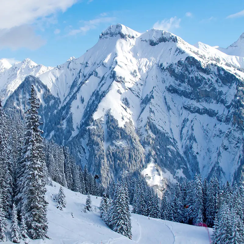 Pillow_Cover_Backdrops_snowy_mountainscape-pob-backdrops