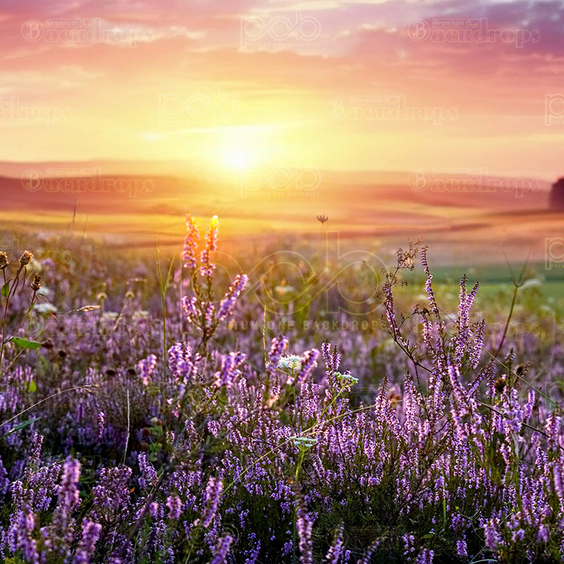 premium one pillowcover backdrops-Sunset Meadow Bloom