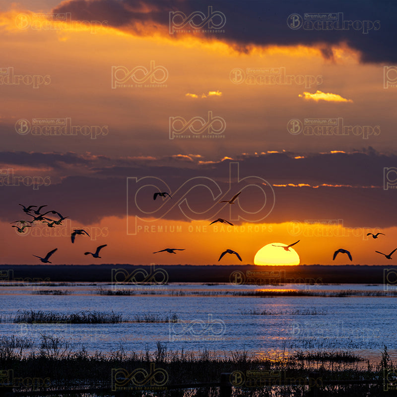 premium one pillowcover backdrops-Twilight Horizons