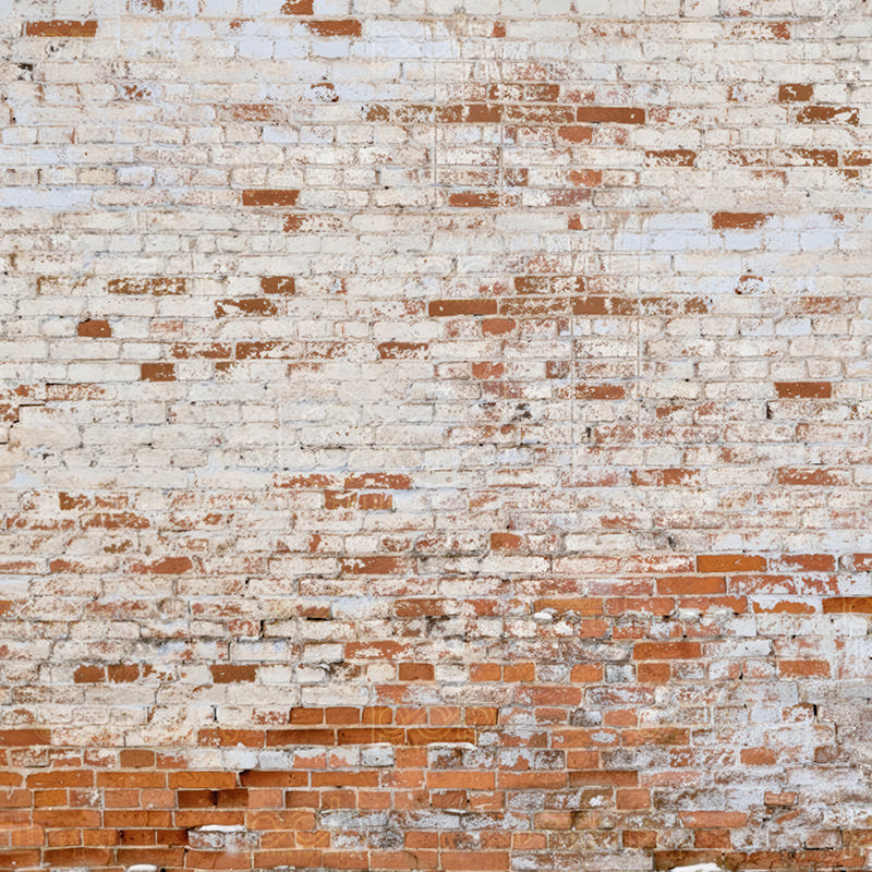 premium one pillowcover backdrops-White Broken Brick Wall