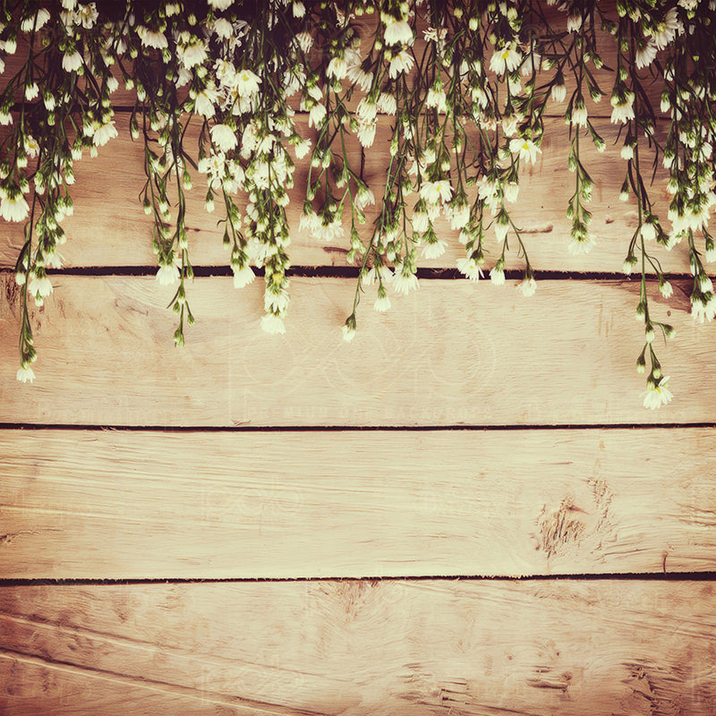 premium one pillowcover backdrops-Wood Daisies