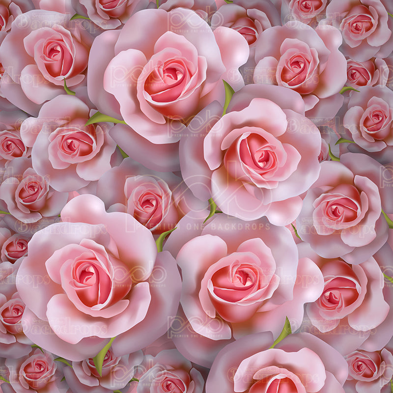 premium one pillowcover backdrops-BEAUTY OF THE ROSE