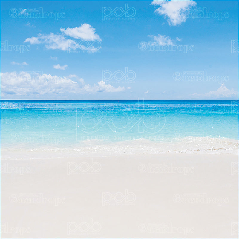 premium one pillowcover backdrops-Beach