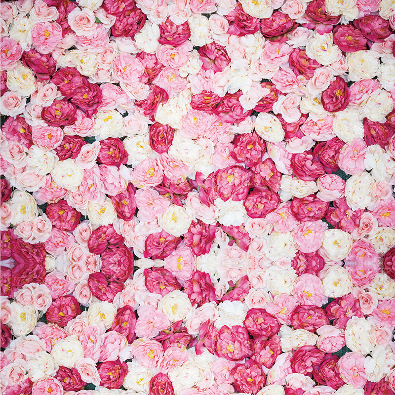 premium one pillowcover backdrops-Blush Peony