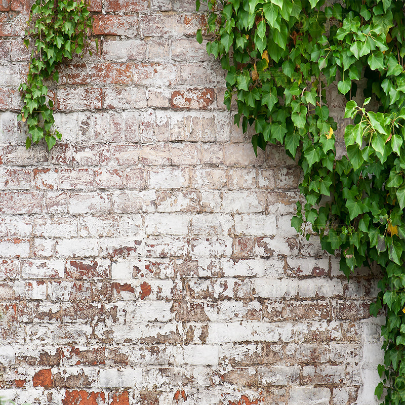 premium one pillow cover backdrops-Brick wall flowers