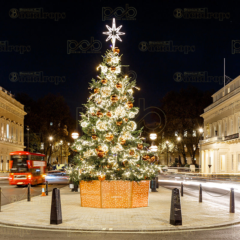 premium one pillowcover backdrops-Christmas In London