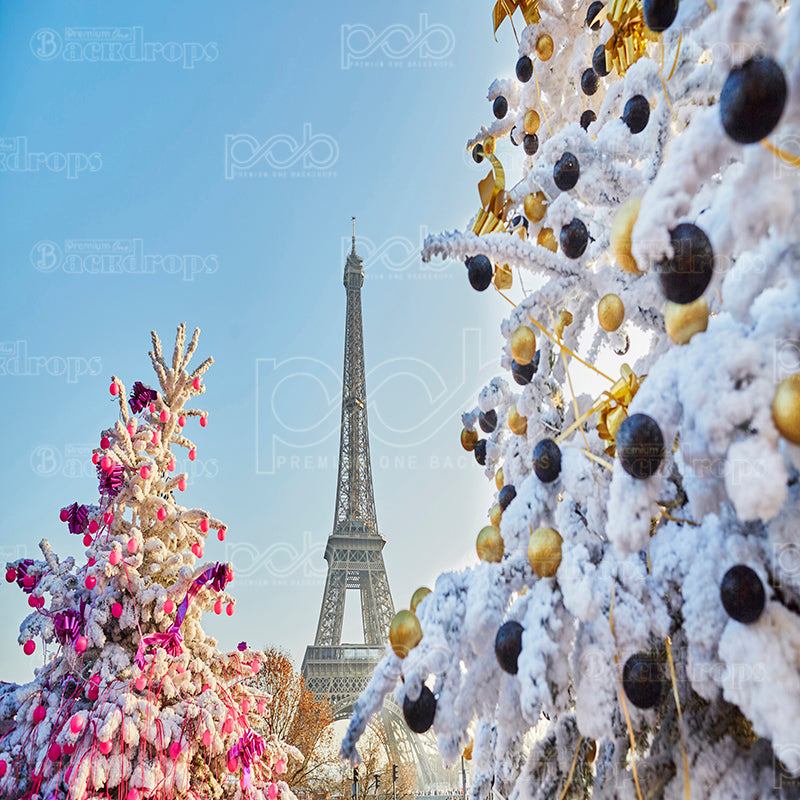 premium one pillowcover backdrops-Christmas In  Paris