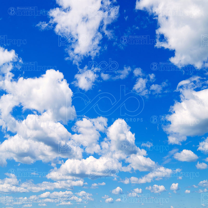 premium one pillowcover backdrops-Clouds