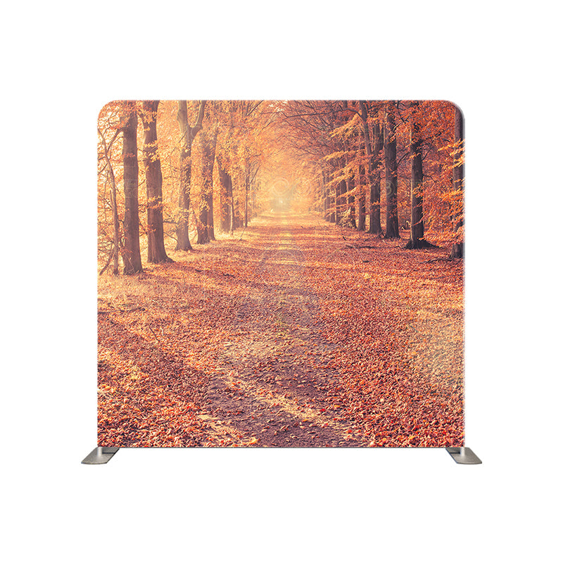 premium one pillowcover backdrops-A forest trail in autumn