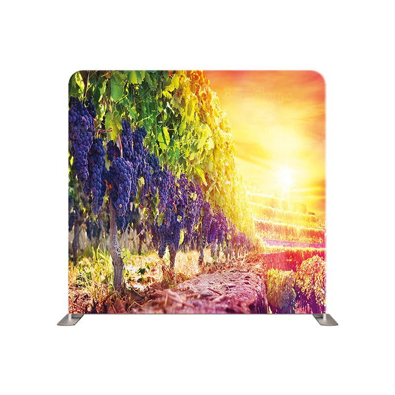 premium one pillowcover backdrops-Grape Vineyard