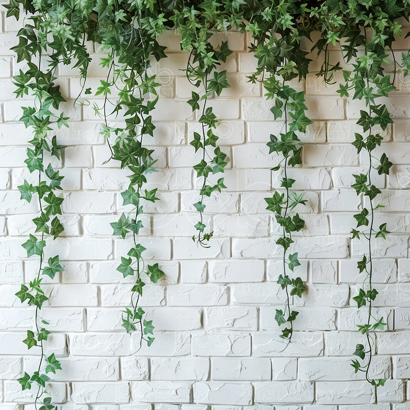 Pillow Cover Backdrop (Green Vine Wall Elegance)
