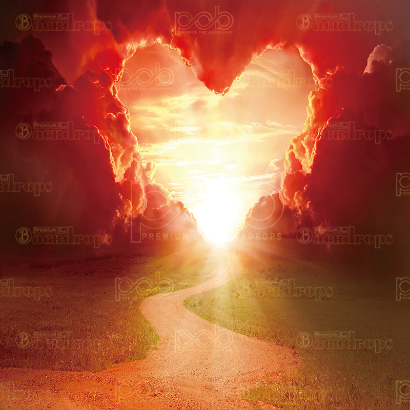 premium one pillowcover backdrops-Heart of the Sunset