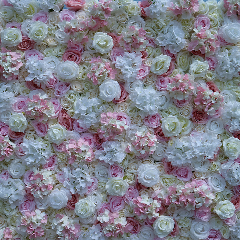 White Rose And Light Pink Rose Flower Wall