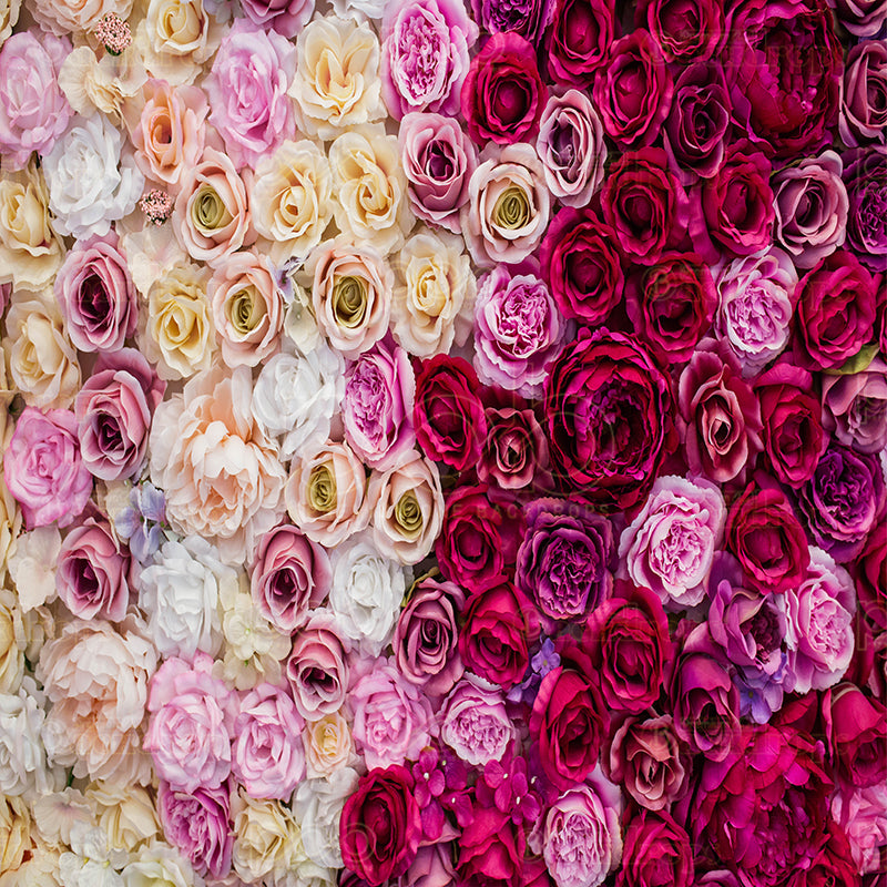 premium one pillowcover backdrops-Mixed Rose Petals