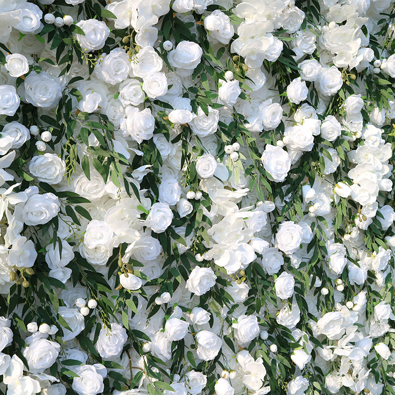 Orchid Willow Leaf White Rose Flower Wall