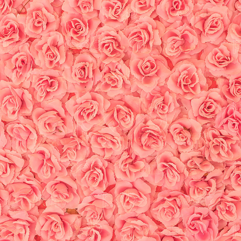 premium one pillowcover backdrops-Peach Roses