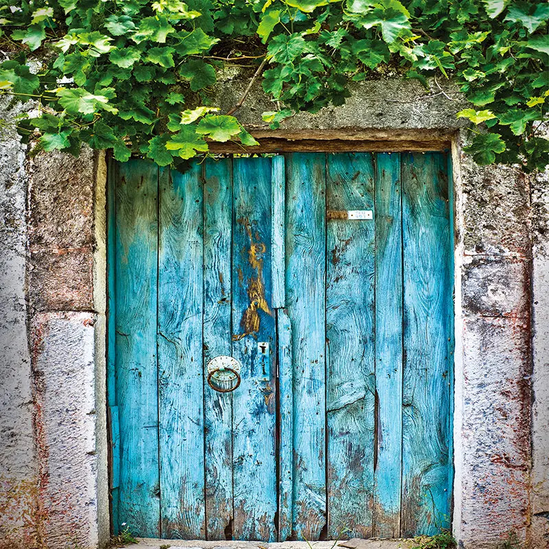 Pillow_Cover_Backdrops_Blue_Doors_with_Greenery-pob-backdrops