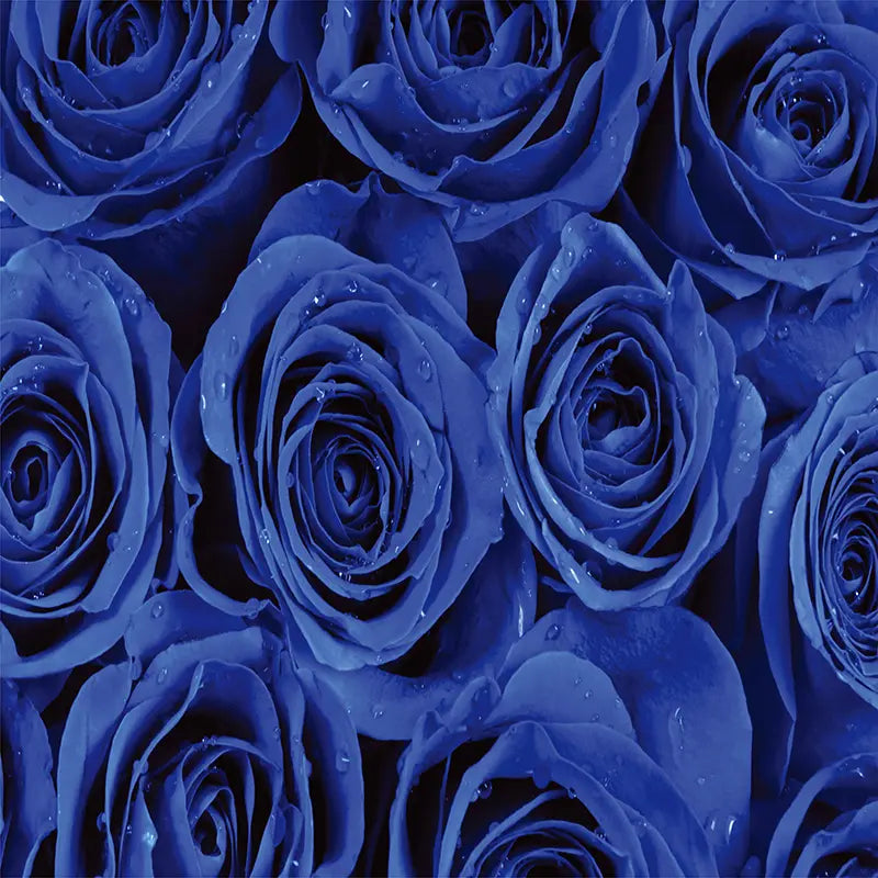 Pillow_Cover_Backdrops_Blue_Roses-pob-backdrops