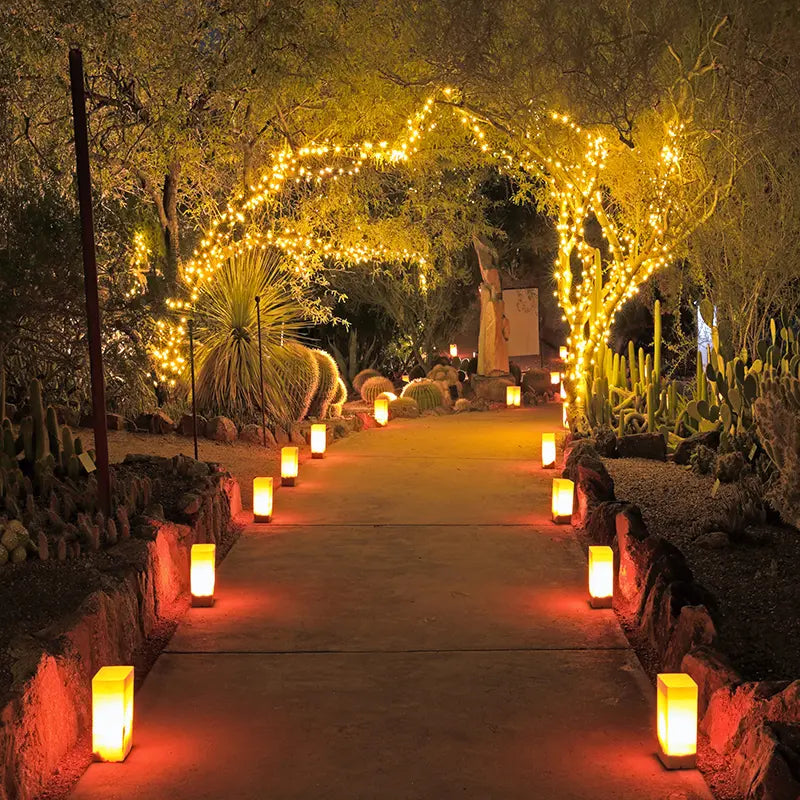 Pillow_Cover_Backdrops_Candle_Walkway-pob-backdrops