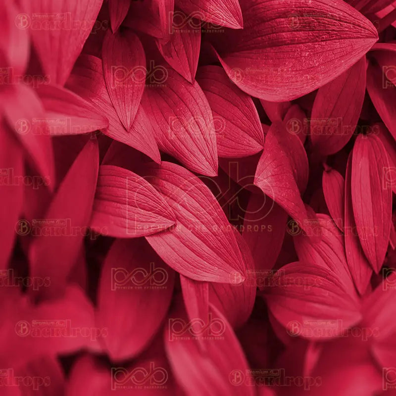 Pillow_Cover_Backdrops_Fiery_Red_Leaf-pob-backdrops