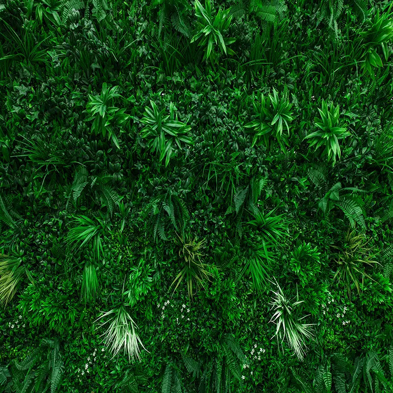 Pillow_Cover_Backdrops_Greenery_Wall-pob-backdrops